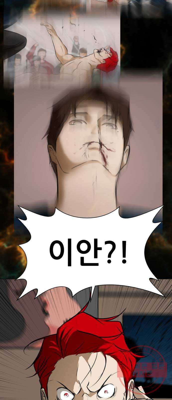 1639174821139bh7isru6dj8.jpeg