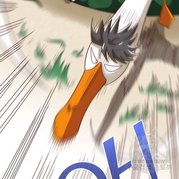 163987602398812pmfgmalrx.jpeg