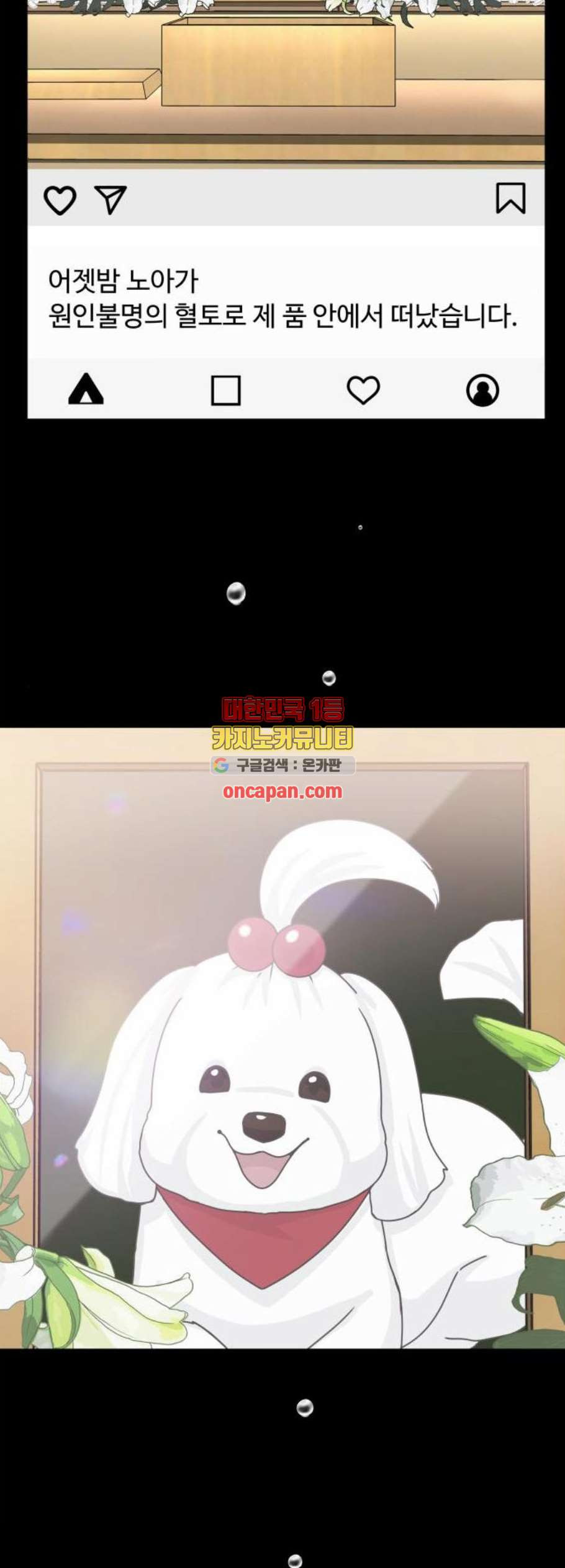 1625789787620.jpeg