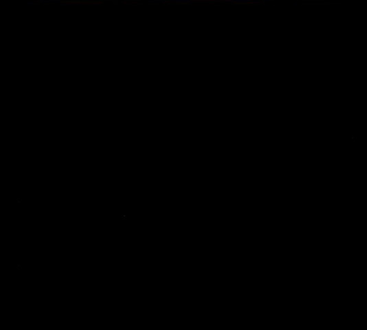 1627972704373.jpeg