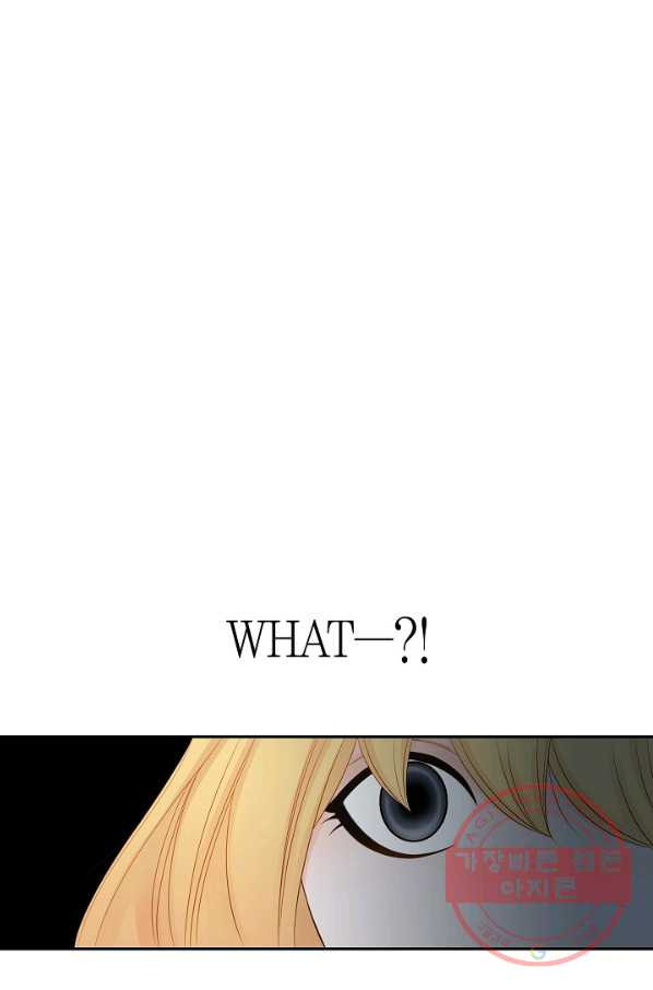 163244768345455wimvqdefp.jpeg