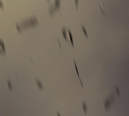 16325424507080fvzsadcyrh.jpeg