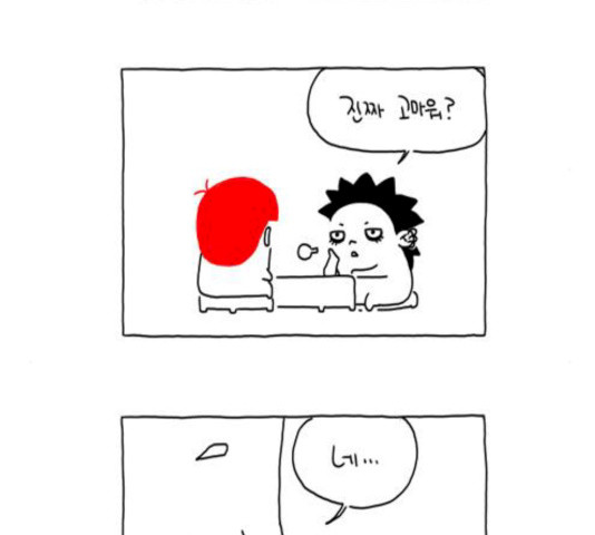 16326261169216zkh8hc4et3.jpeg