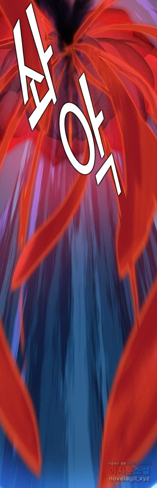 1668146484222bino3sgpfdo.jpeg