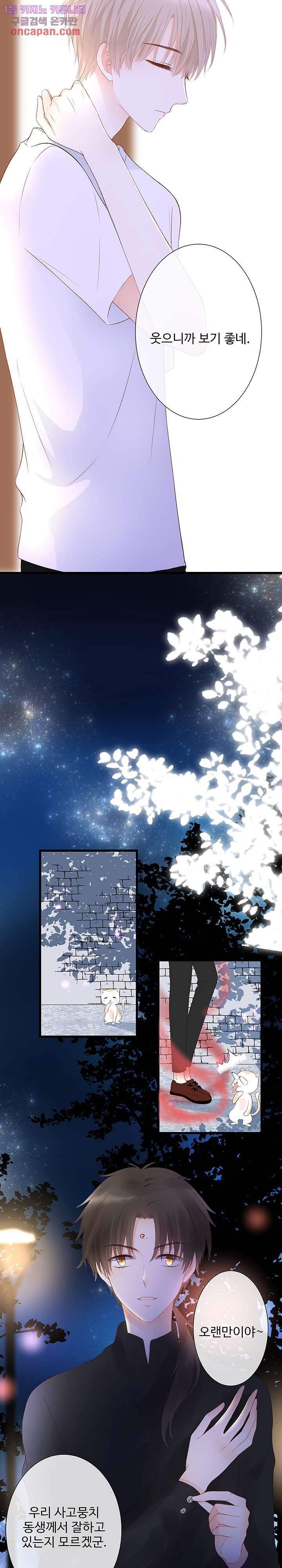 1644519633804x60pr28jhzi.jpeg