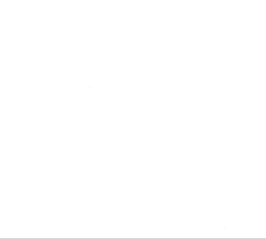 165007596343235x1t82rarh.jpeg