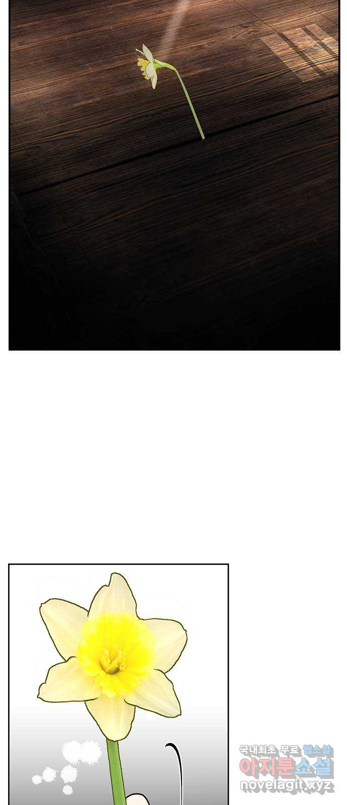 1663188988412rnp9gmbak0g.jpeg