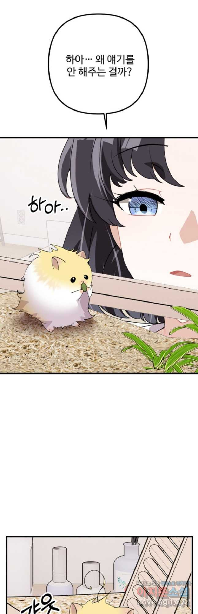 1679259162646i3ktiwcpaz.jpeg