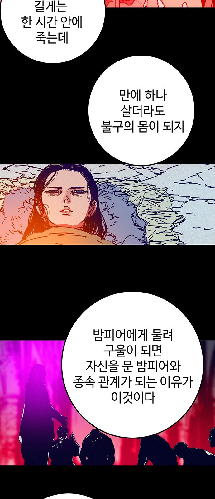 168135297180393ayw201yn9.jpeg