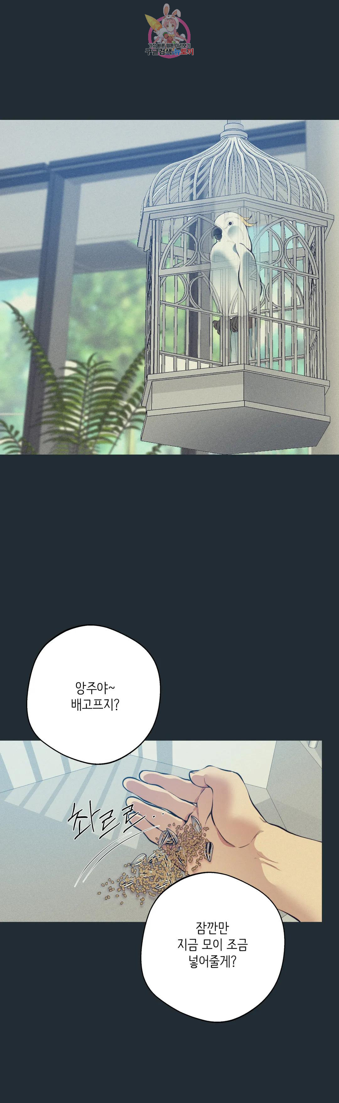 1683958526741cd8vx57ffu.jpeg